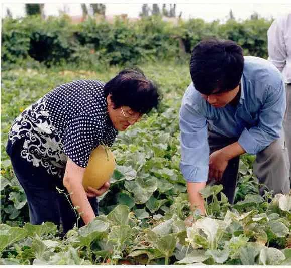 山东牧院事件吃瓜视频,吃瓜群众视角下的校园风波揭秘