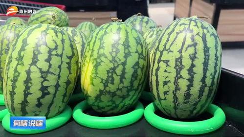 潍坊跳舞视频原版 吃瓜,带你领略舞蹈魅力