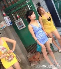 吃瓜假装拍视频,假装拍视频背后的趣味与真相