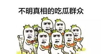 吃瓜群众 视频素材无水印,无水印素材背后的故事