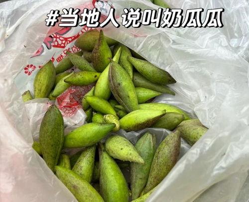 地梢瓜可以炒肉吃吗视频,家常美味新尝试