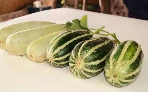 澳洲网红吃瓜视频,趣味横生揭秘瓜界奥秘